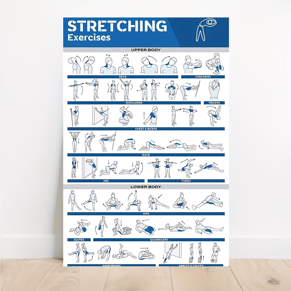 Sustainable Living Products - Modern Labeled Full-Body Stretches For Gym