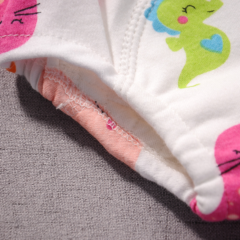Newborn Training Pants Baby Sh - Cloth Diaper Insert avis et prix
