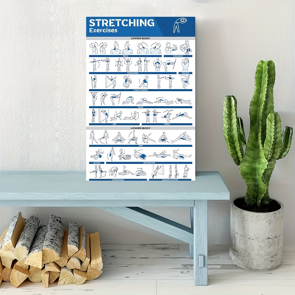 Modern Labeled Full-Body Stret - Sustainable Living Products avis et prix