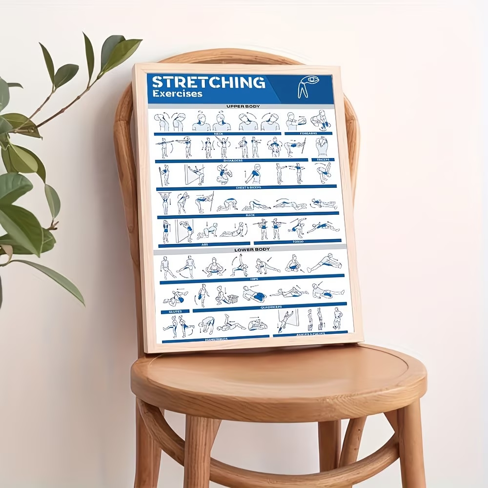 Modern Labeled Full-Body Stret - Sustainable Living Products avis et prix